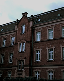 Academia